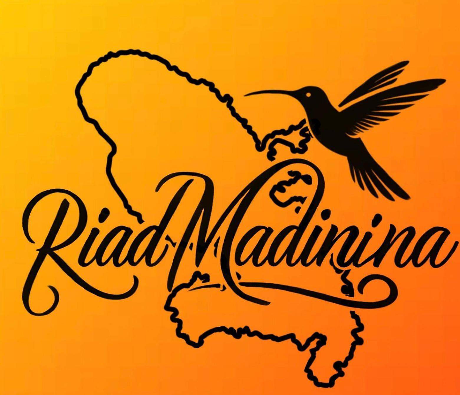 Riad Madinina Marakéš Exteriér fotografie